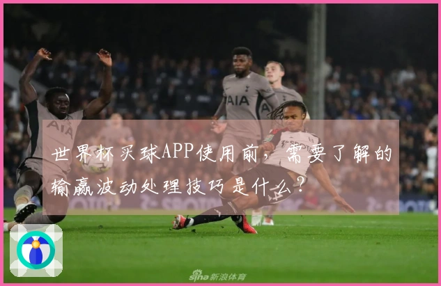 世界杯买球APP使用前，需要了解的输赢波动处理技巧是什么？