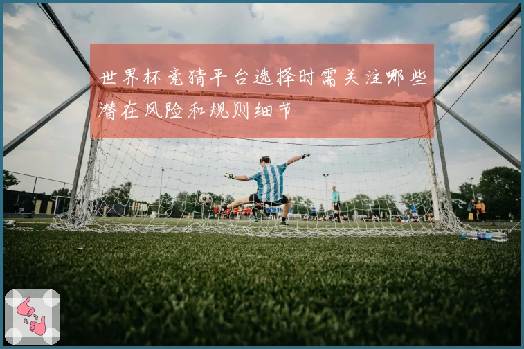 世界杯竞猜平台选择时需关注哪些潜在风险和规则细节