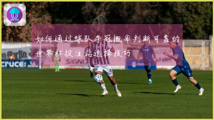 如何通过球队夺冠概率判断可靠的世界杯投注站选择技巧