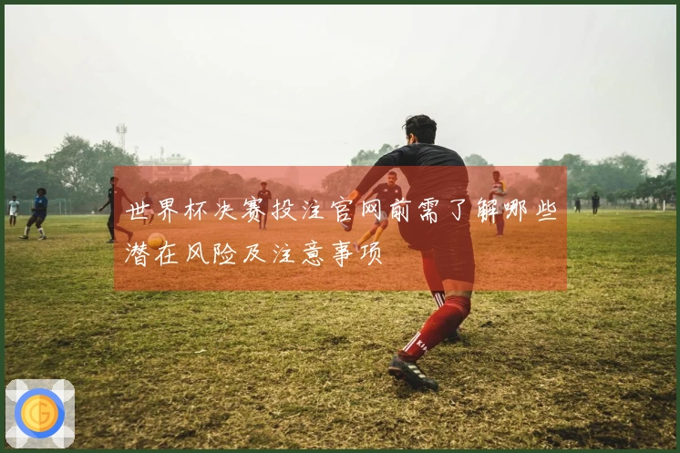 世界杯决赛投注官网前需了解哪些潜在风险及注意事项