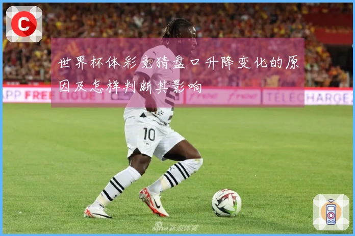 世界杯体彩竞猜盘口升降变化的原因及怎样判断其影响
