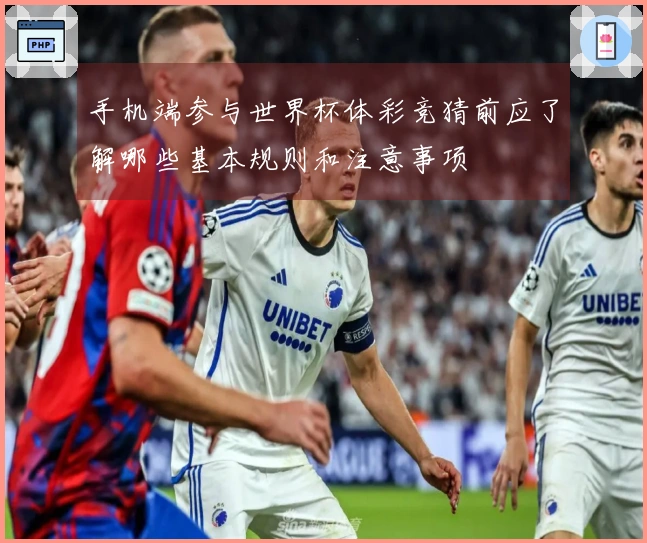 手机端参与世界杯体彩竞猜前应了解哪些基本规则和注意事项