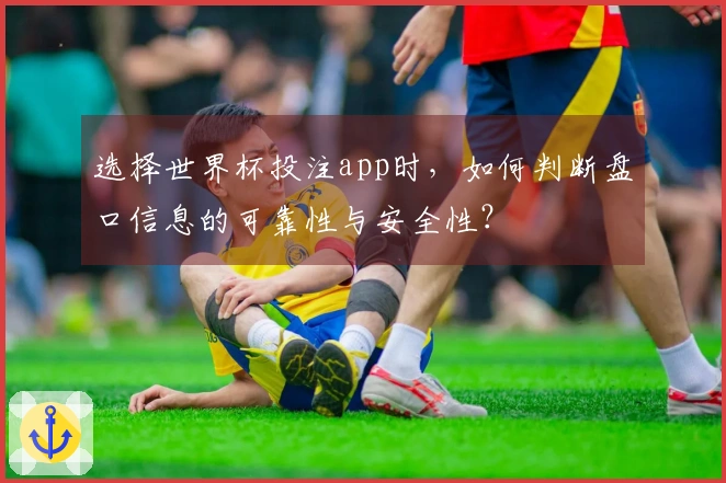 选择世界杯投注app时，如何判断盘口信息的可靠性与安全性？