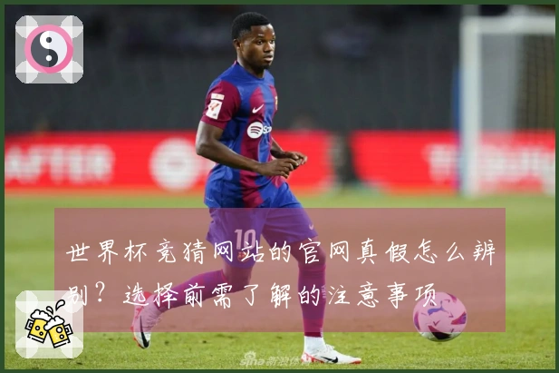 世界杯竞猜网站的官网真假怎么辨别？选择前需了解的注意事项