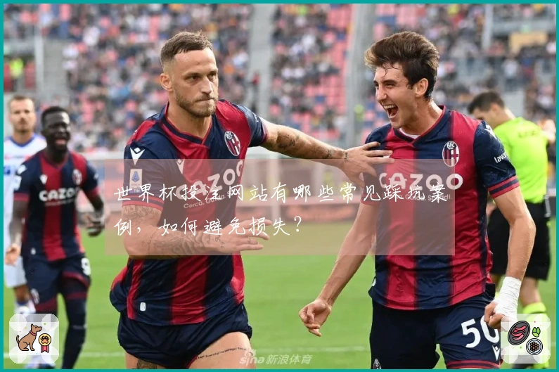 世界杯投注网站有哪些常见踩坑案例，如何避免损失？