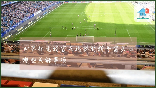 世界杯竞猜官网选择时新手需关注哪些关键事项