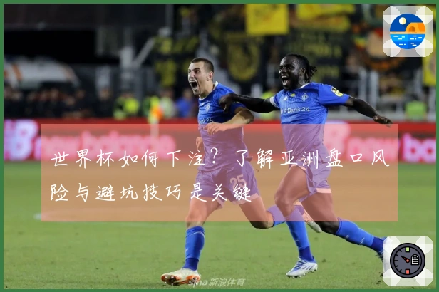 世界杯如何下注？了解亚洲盘口风险与避坑技巧是关键