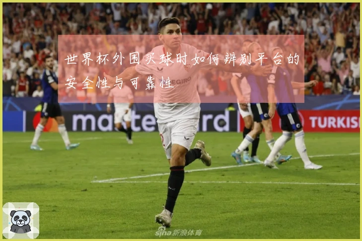 世界杯外围买球时如何辨别平台的安全性与可靠性