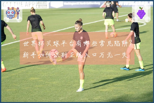 世界杯买球平台有哪些常见陷阱？新手如何识别正规入口万无一失