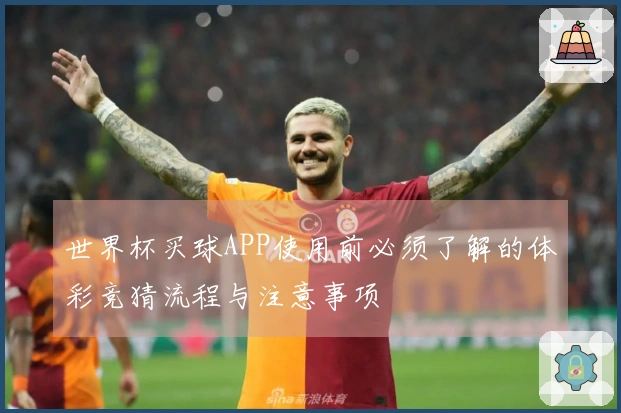世界杯买球APP使用前必须了解的体彩竞猜流程与注意事项