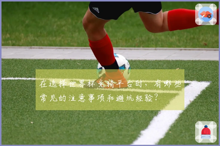 在选择世界杯竞猜平台时，有哪些常见的注意事项和避坑经验？