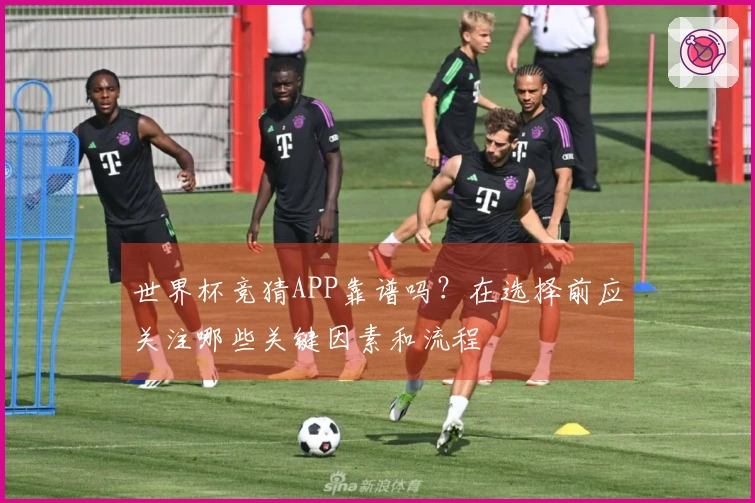世界杯竞猜APP靠谱吗?在选择前应关注哪些关键因素和流程