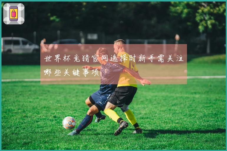 世界杯竞猜官网选择时新手需关注哪些关键事项
