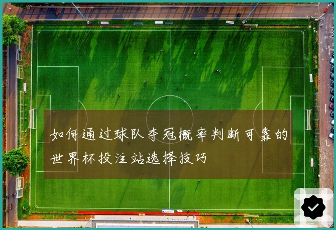 如何通过球队夺冠概率判断可靠的世界杯投注站选择技巧