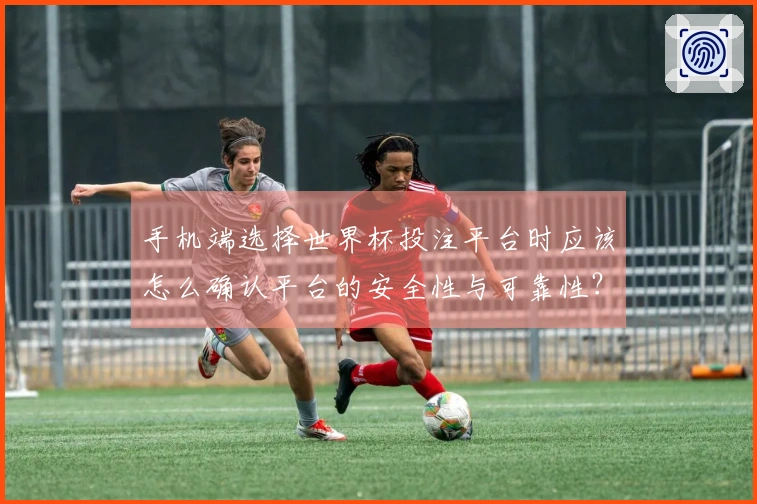 手机端选择世界杯投注平台时应该怎么确认平台的安全性与可靠性？