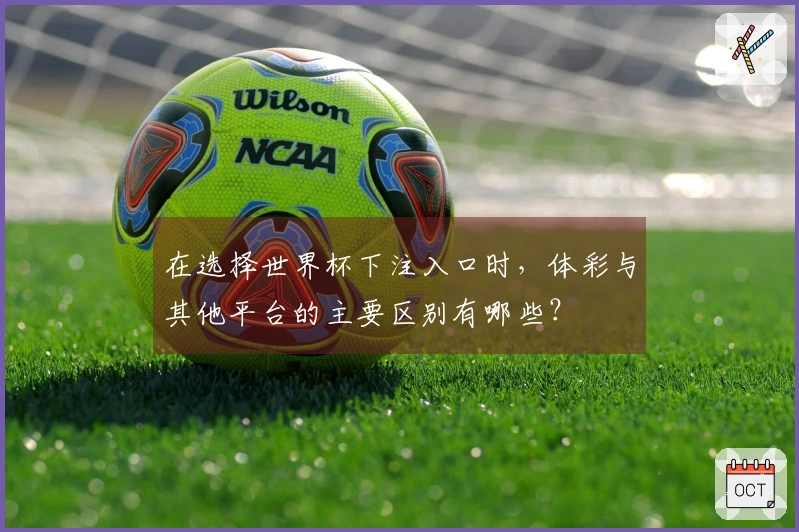 在选择世界杯下注入口时，体彩与其他平台的主要区别有哪些？