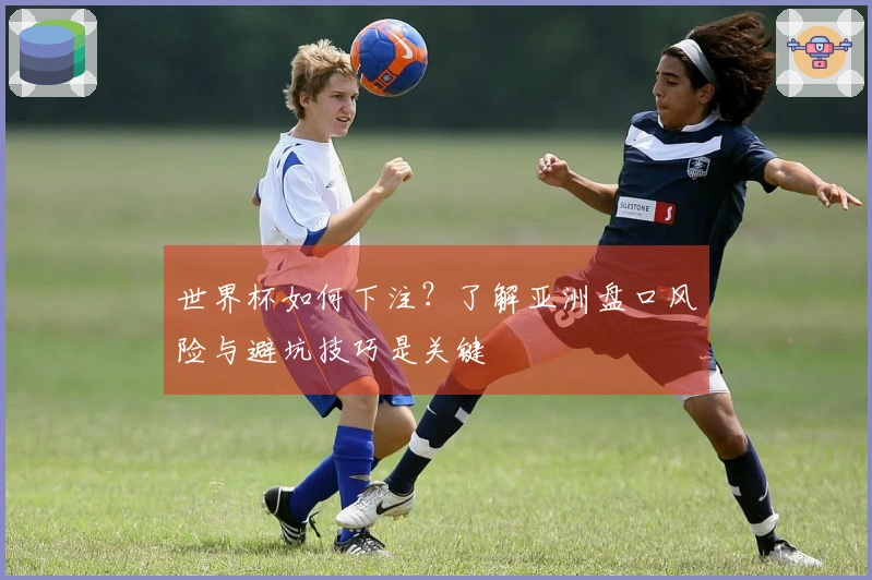 世界杯如何下注？了解亚洲盘口风险与避坑技巧是关键
