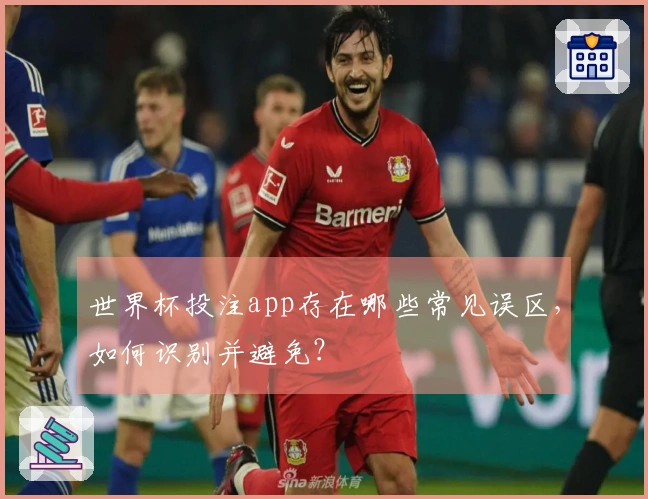 世界杯投注app存在哪些常见误区,如何识别并避免?