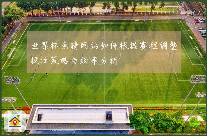世界杯竞猜网站如何根据赛程调整投注策略与赔率分析