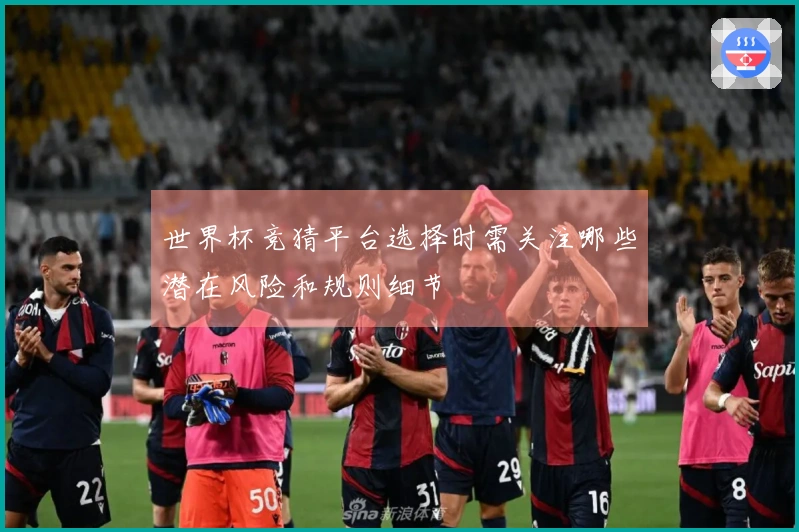 世界杯竞猜平台选择时需关注哪些潜在风险和规则细节