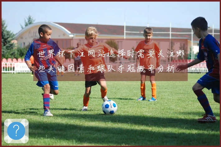 世界杯下注网站选择时需要关注哪些关键因素和球队夺冠概率分析