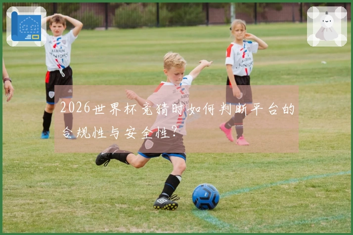 2026世界杯竞猜时如何判断平台的合规性与安全性？