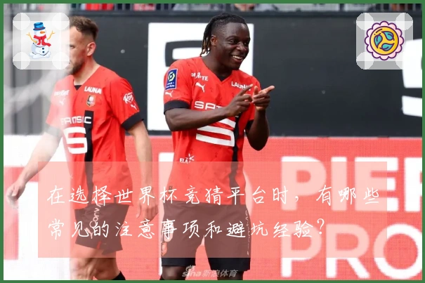 在选择世界杯竞猜平台时，有哪些常见的注意事项和避坑经验？